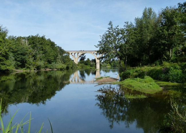 Le Cher à Sainte Thorette